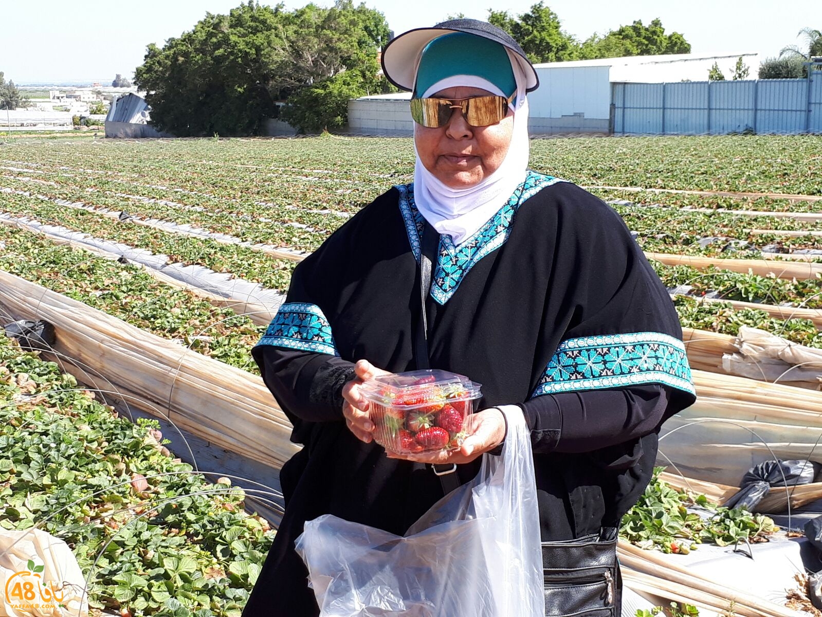 ab7bableaqsaa3 (15).jpg